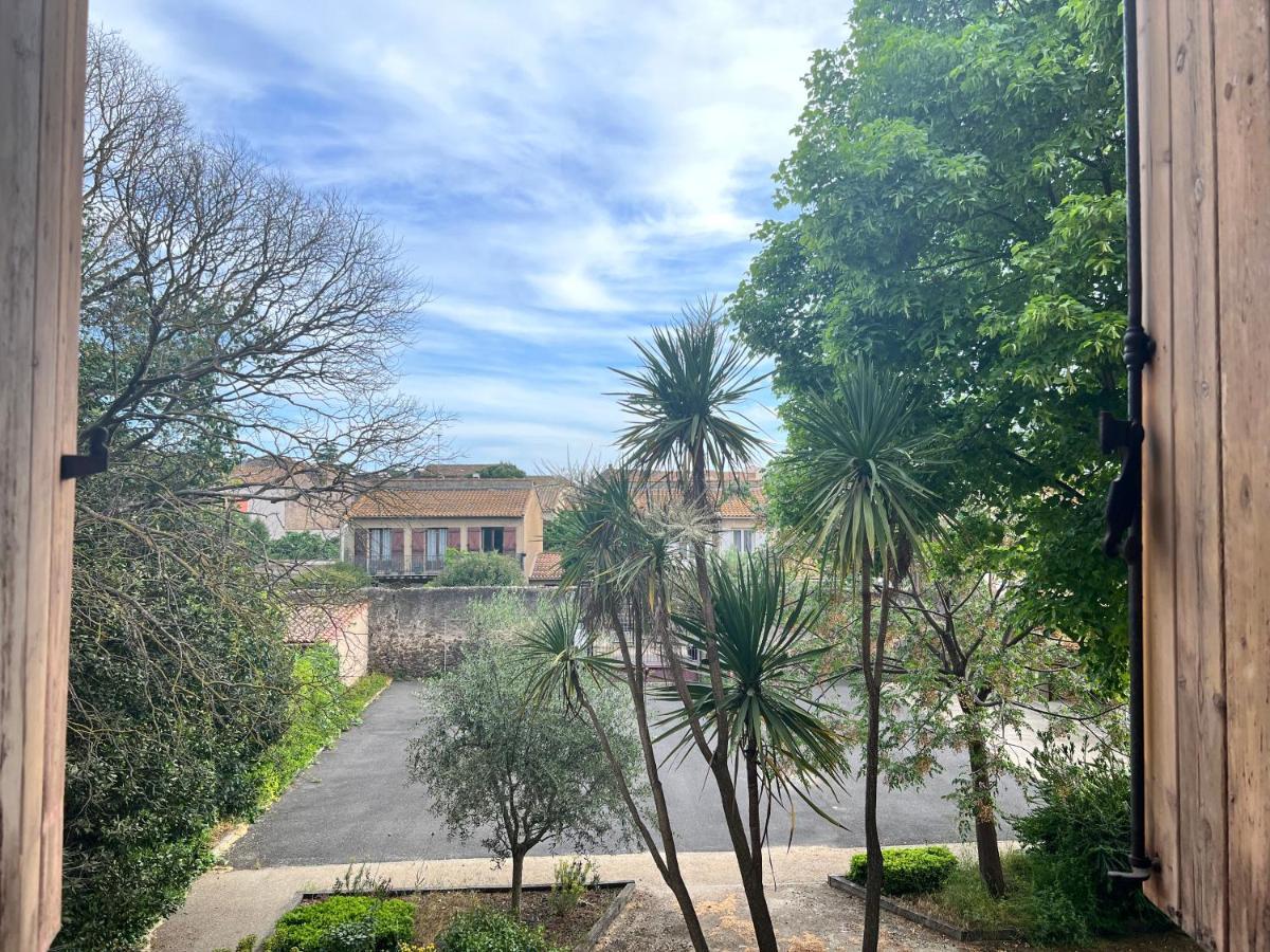Cote Jardin Est Un Spacieux Et Lumineux T3, Entierement Renove, A 2 Pas De L'Herault Et A 10Min Du Bord De Mer Proche Du Centre Historique Et Du Fabuleux Chateau Laurens, Vous Apprecierez Le Calme De Sa Belle Terrasse Et La Vue Superbe Sur Le Jardin 阿格德 外观 照片